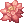 Flor elegante