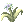 Flor de ilusión