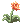 Flor