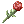 Rosa eterna