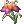 Flor de Valhala