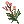 Hierba venenosa nerium