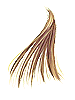 Cabello dorado