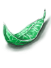 Hierba verde