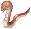 Serpiente venenosa