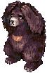 Oso Zipper